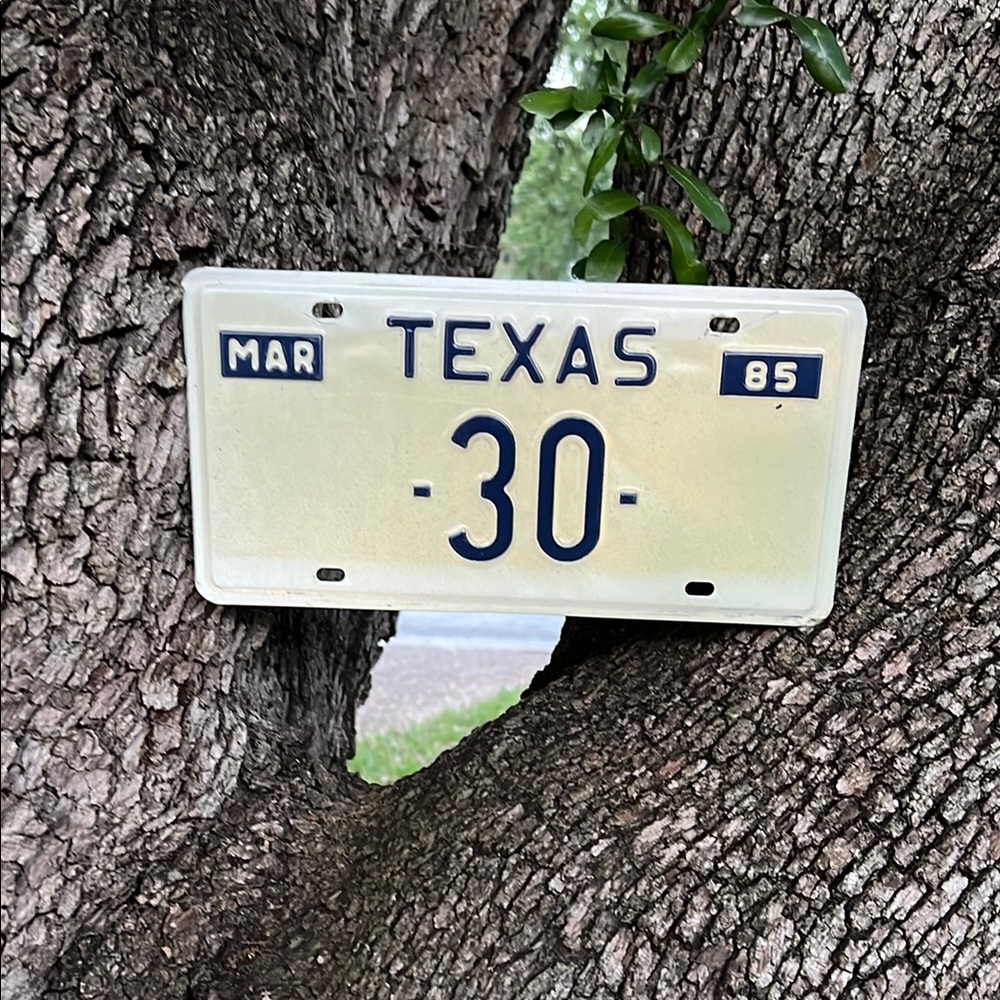 Vintage March 1985 Embossed Texas License Plate